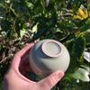 1/2 Stück 140ml Exquisite Eisrissglasur Keramik Teetassen Handbemaltes Porzellan Meistertasse Exquisite Teetasse Teezubehör