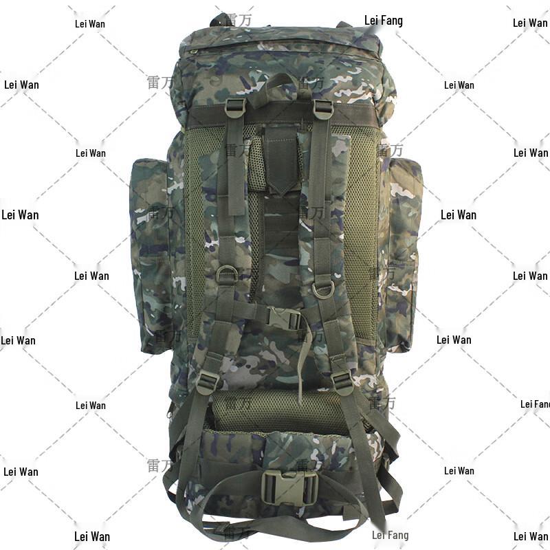 Rayvan Large Capacity Hiking & Tactical Backpack