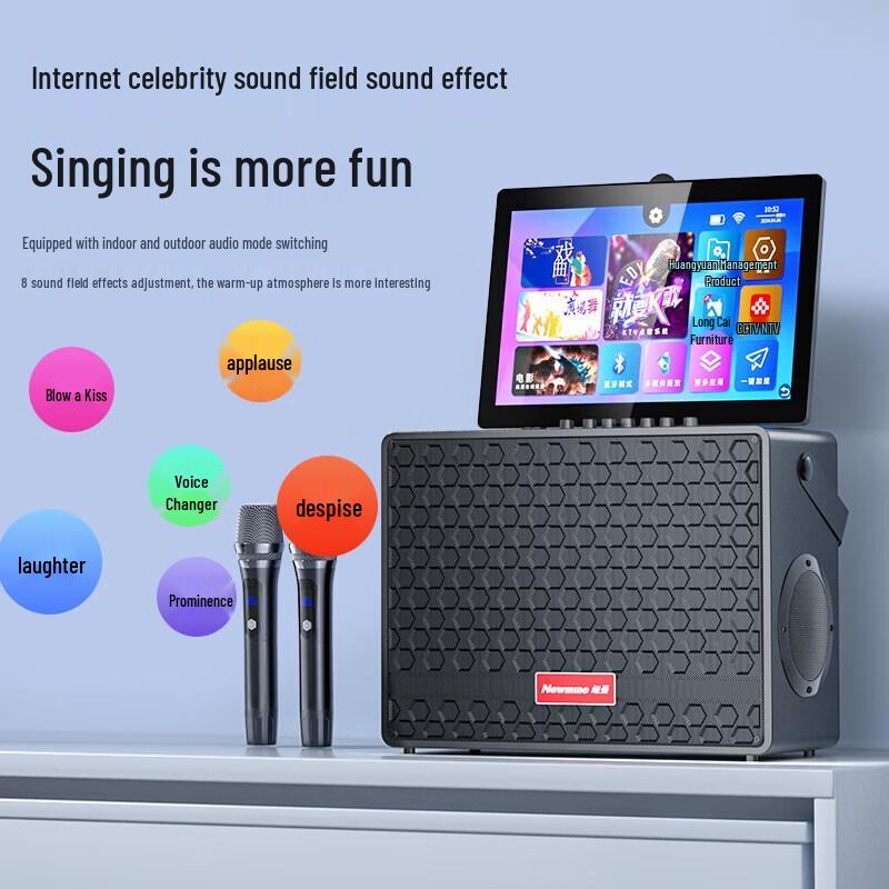 Newmine D21 Home KTV Karaoke & Instrument Speaker System