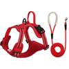Adjustable Harness Vest With Leash Small Medium Large Dogs Anti-Pull Chest Strap Walking Control