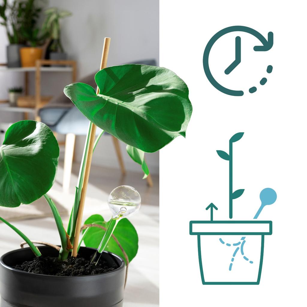 Watering Balls for Flowers and Plants, Flower Power Dispenser Set of 10 Pcs.