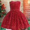 Children‘s Skirt Children's Casual Dress Girl Princess Dress