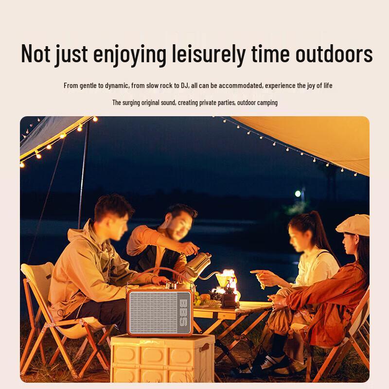 BBS P6 Portable KTV Speaker