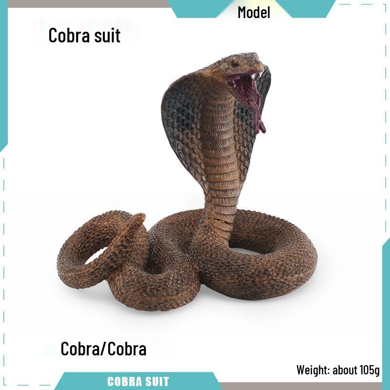 Reptile Simulation: Snake Wildlife Toy - Children's Cognitive Decor Model