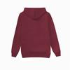 Women's Lined Zip Up Hoodie Long Sleeve Casual Warm Sweatshirt for Winter