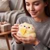 Realistic Hamster Toy Stress Sensory Toy for Adults Kids