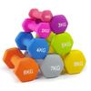 Rubber-Coated Hexagonal Dumbbell - Smooth Surface for Home Fitness, Cast Iron Core, Plastic-Dipped