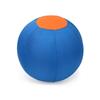 Dog Toy Ball Durable Bite Resistant Interactive Training Ball Inflatable Chew Toy Boredom Relief Play Ball For Large Medium Dogs