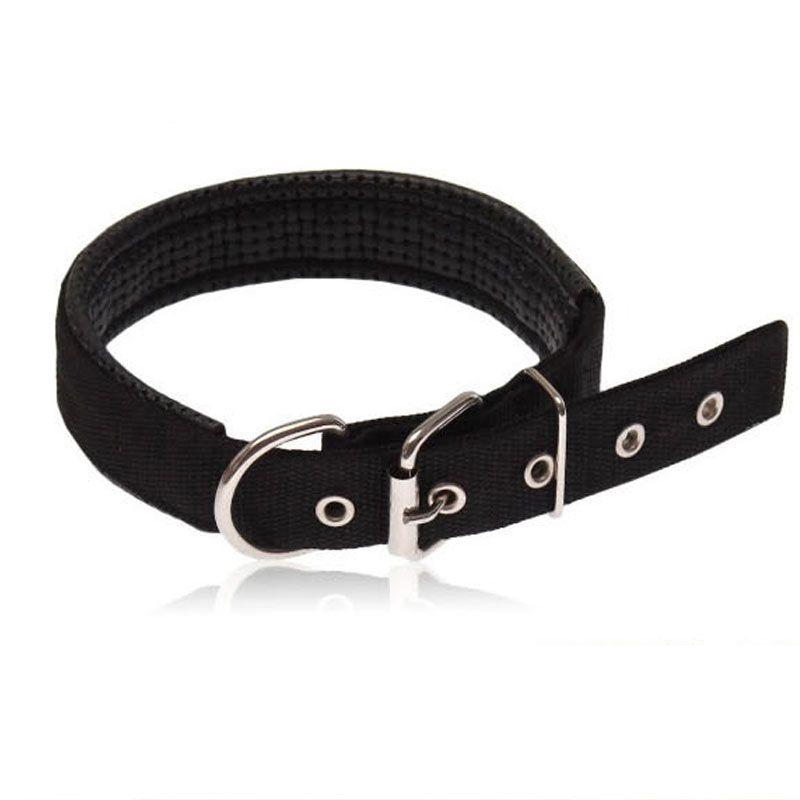 

Pet Collar Dog Collar Bandana Pet Supplies Hand Holding Rope Dog Leash Dog Chain Dog Rope Dog Traction Belt Wide 2.0 [suitable for 4.00 kg-8.00 kg]] Black