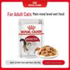 Adult Wet Cat Food Pouches