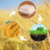 20pcs/set Useful Eco-Friendly Burger Box Food Containers Baking Packing Baking Cake Snack Box Dessert Container Bakery Supplies