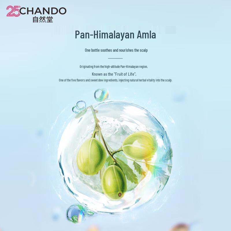 CHANDO Oil Control Volumizing Shampoo