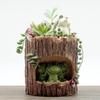 1pc Creative Cartoon Flowerpot Succulent Planter Lovely Green Plants Planter Flower Pot with Hole Home Garden Decoration Gift