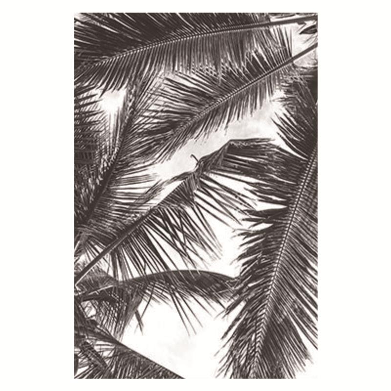 Nordic Minimalism Tropical Prints Palm Tree Leaves Wall Art Pineapple Poster Black White Canvas Painting Picture for Living Room No Frame