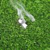Artificial Grass Turf Wall Decoration for Fruit Store and Sunroom