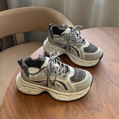 Premium Retro Gray Dad Shoes Women's Shoes 2025 New Autumn and Winter New Muffin Thick Sole Heightening and Velvet Sports