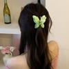 Hair Claw Medium Size Butterflies Shape Acetate Plate Hair Clip Gradient Texture Strong Grip Back Head Hair Claw Hair Accessories