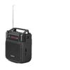Newmine MS19 Wireless Voice Amplifier CN plug (adapter included)