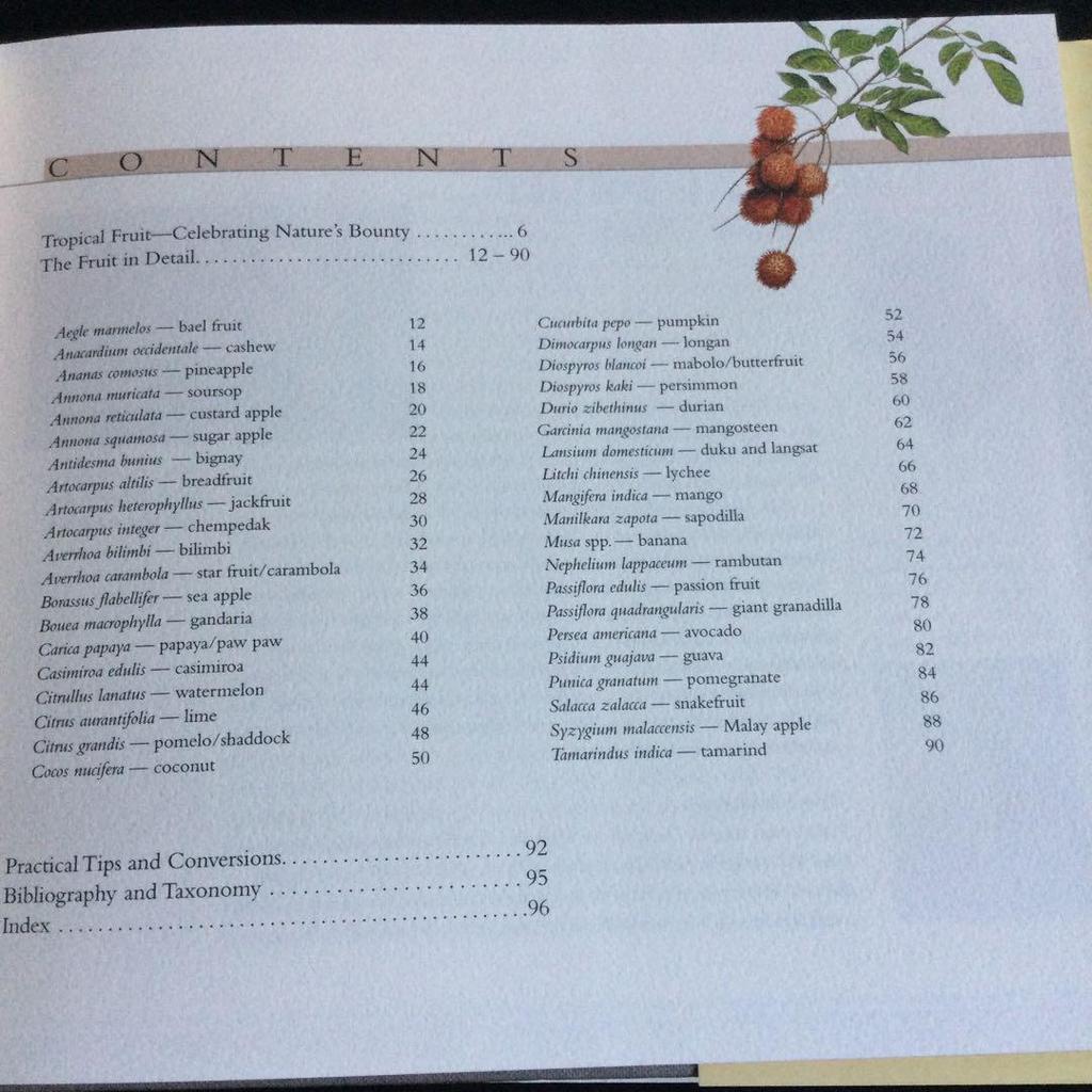 [USED] Tropical Fruits Encyclopedia Indonesia Fruits Illustrations Foreign Books English