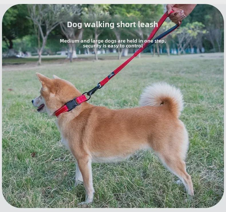 Nylon Kurze Trainingsleine für Mittelgroße und Große Hunde - Strapazierfähiges Zugseil