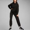 Puma Ess Elevated FW24 Casual Comfortable Fashion Hoodie Women Hoodies Black 681529-01