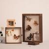 Wooden Display Case Butterfly Shadow Box Multiple Sizes Large Insect Specimens Storage Display Case High-quality Display Cabinet