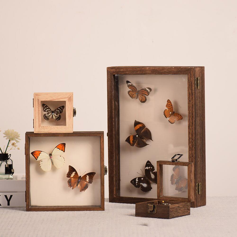 Wooden Display Case Butterfly Shadow Box Multiple Sizes Large Insect Specimens Storage Display Case High-quality Display Cabinet