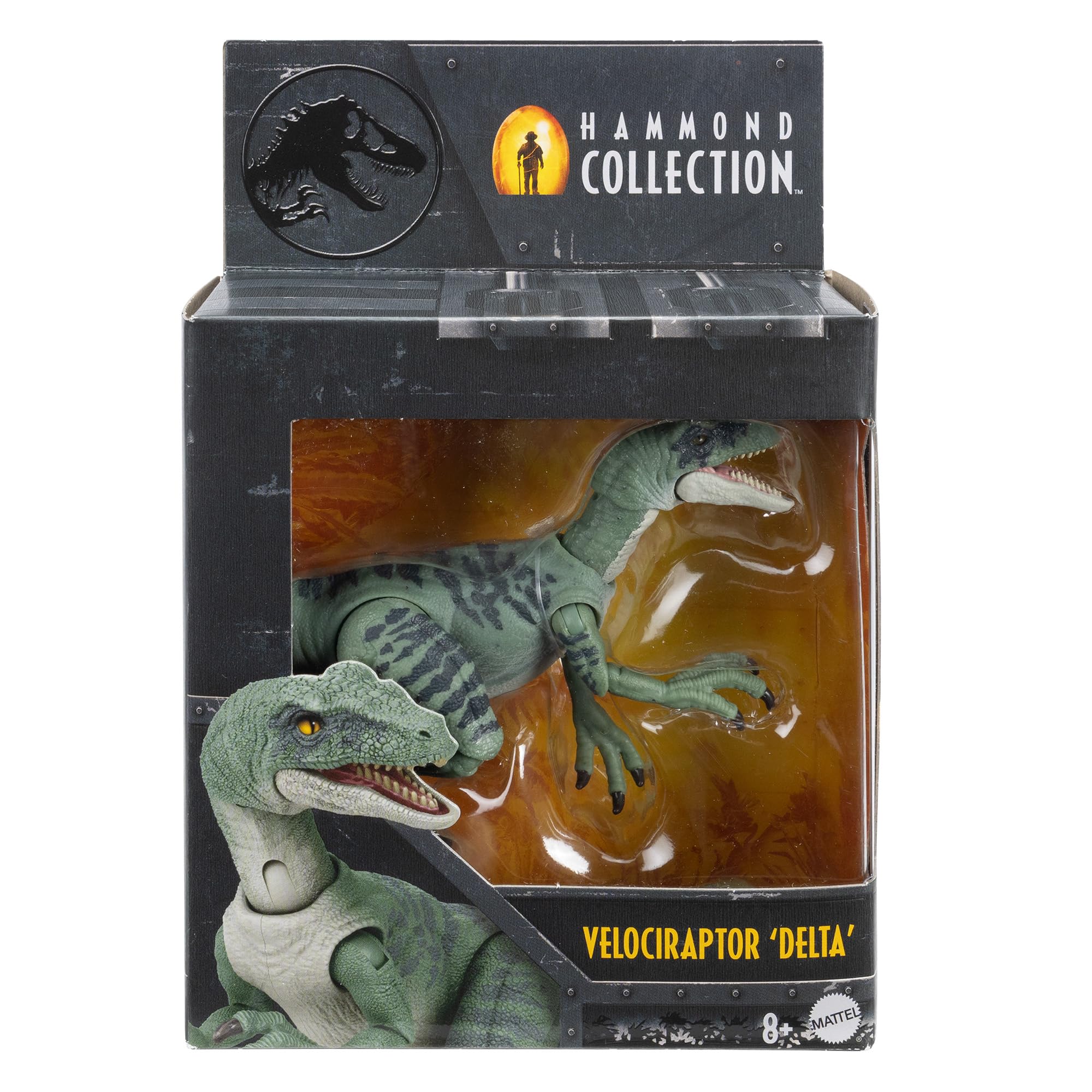 JURASSIC WORLD AMBER Collection Velociraptor Delta 6 pollici dinosauro