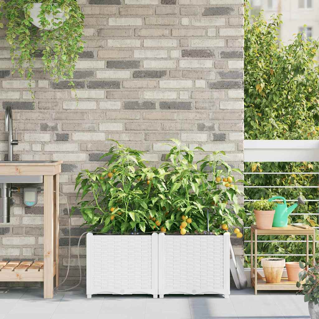 Garden Planter 2 pcs White 80 x 40 x 37.5 cm Plastic