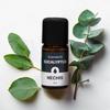 NECHIS PVXQDQGO Aroma Essential Oil Herbal Oil Eucalyptus 12ml