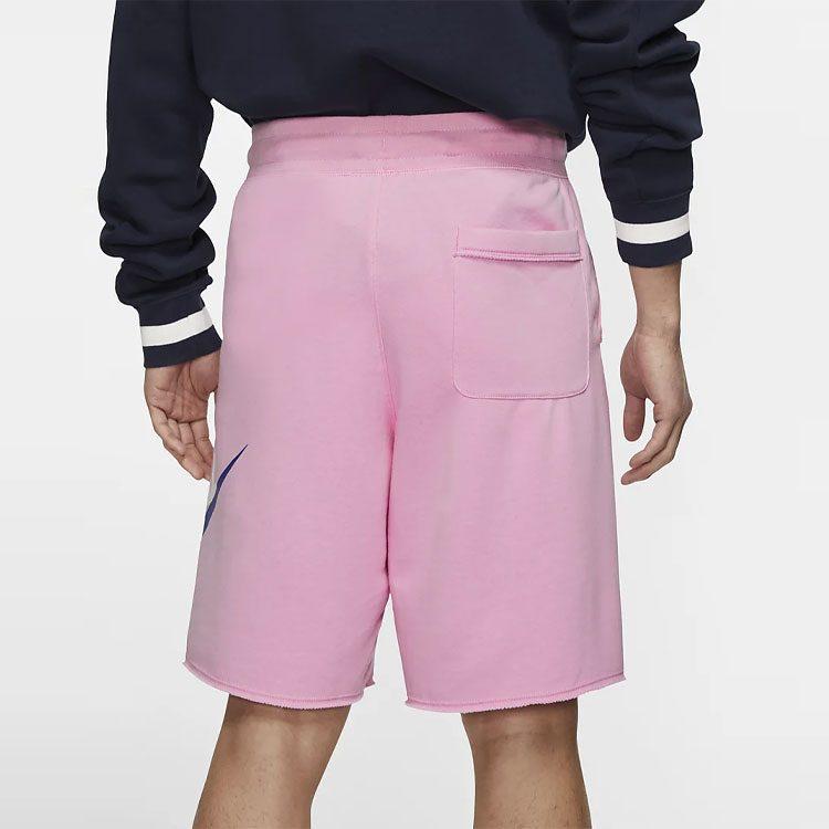 Nike Sports Shorts Men's Moderate AR2376-629