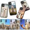 Phone Cover Cute Lama Llama Alpacas Casing for Xiaomi Poco F7 F6 F8 Ultra F5 X7 X6 X5 X3 NFC M7 M6 Pro C85 C75 C65 C71 C61 Case