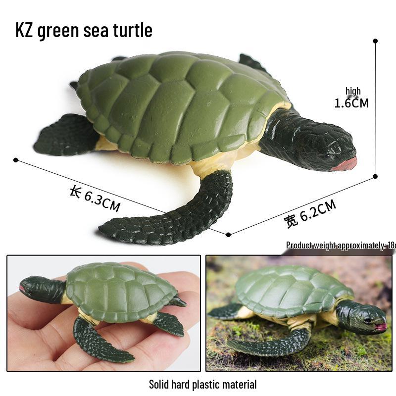 Wild Animal Tortoise Educational Model for Kindergarten (Sulcata, Red-footed, Biscuit Tortoises)