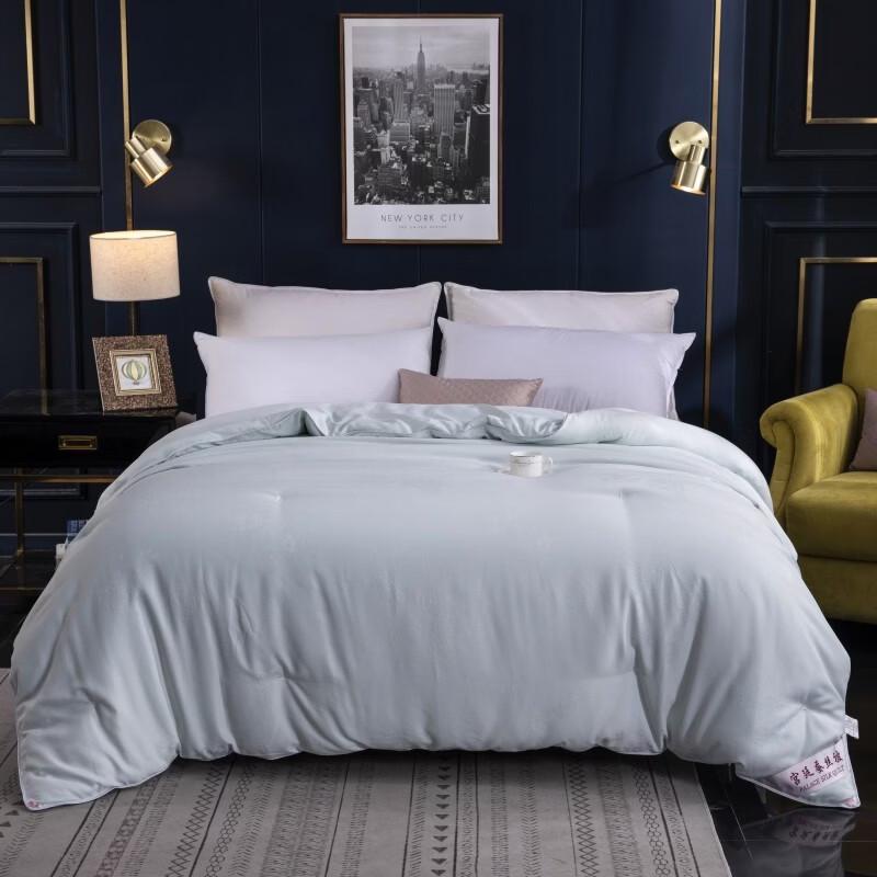 Bageman Modal Bamboo Fiber Mulberry Silk Quilt
