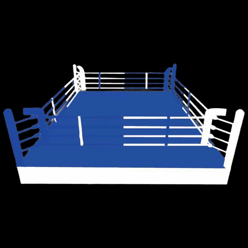 Professional Combat Sports Training Ring