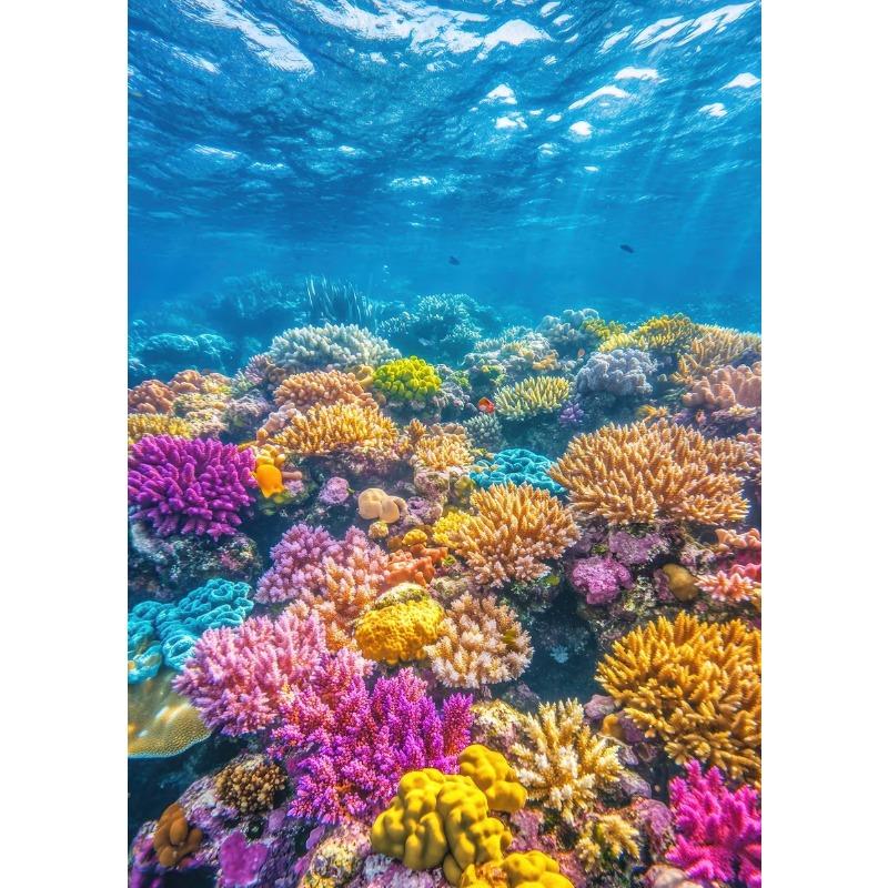 

Красивые глубоководные коралловые рифы Подводный мир Пейзаж Постер Холст Искусство Живопись Принты Домашняя Комната Настенная Картина Декорация 21cm×30cm NoFrame