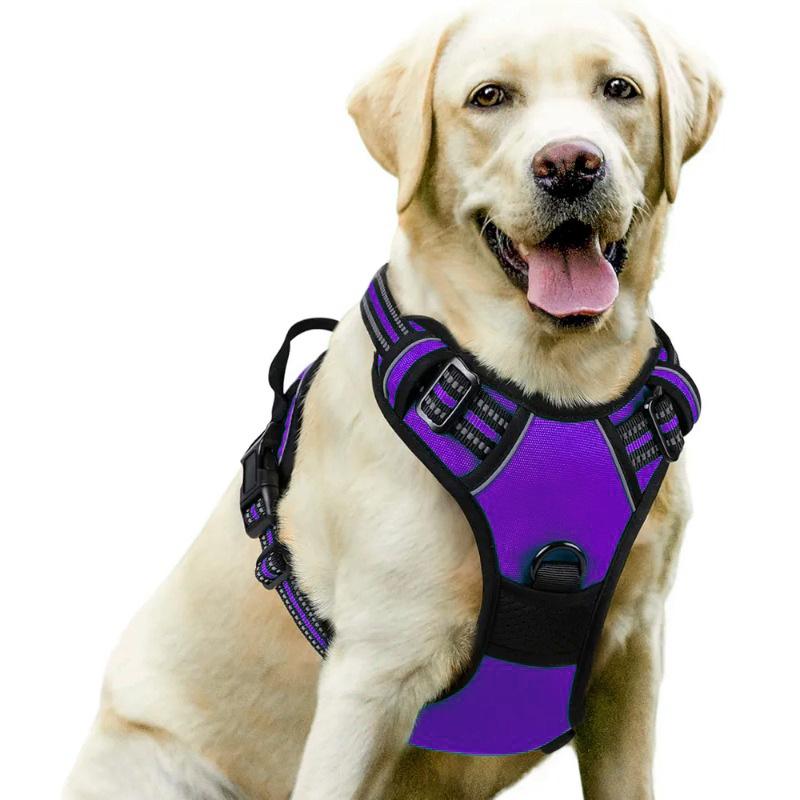 Dog Nylon Chest Harness and Leash for Large Pets
