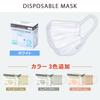 IRIS OHYAMA Disposable Nonwoven 120 Count Masks, Regular,