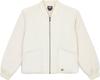Demiseason Jacket Dickies Gardiner Liner Jacket (DK0A4Z35F901)