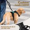 Pet Dog Multi-layer Integrated Leash Harness