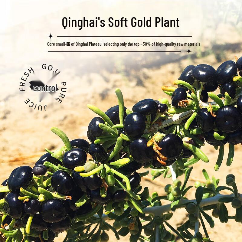 Qinghai Black Goji Berry Concentrate
