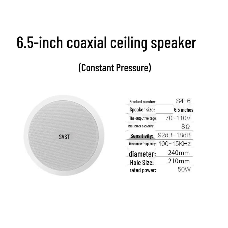 SAST Coaxial Ceiling/Wall-Mount Speaker (CN version)