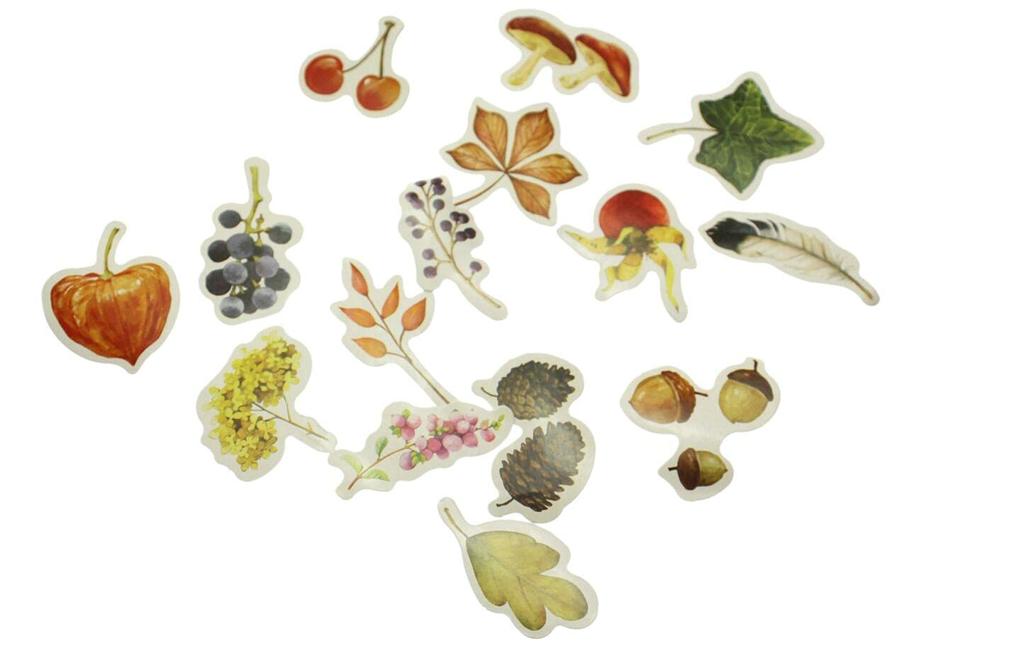 Navire Cute Large Capacity Flake 216 Autumn Seasonal Stickers Stickers, Sheets,