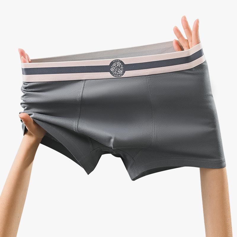 Plus Size Men's New Summer Cotton Anti Bacterial Breathable Sport Boxer Briefs
