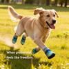 Light Up Dog Shoes Breathable Pet Supplies Doggy Shoes Cat Glowing Boots For Puppy Kitten Summer Outdoor Night Walks Training