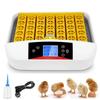 12-42 Egg Incubator, Hatching Machine, Incubator, Fully Automatic Incubator