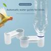 Parrot, Parrot, Pigeon, Water Guide, Water Dispenser, Pigeon Automatic Water Dispenser, Pigeon Medicine Water Dispenser