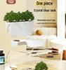 Compact Turtle Breeding Aquarium with Ecological Landscaping for Home or Office