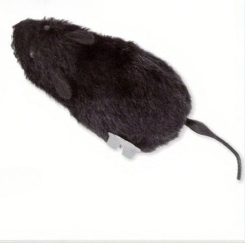 Clockwork Simulation Interactive Indoor Cat Chasing Toy for Home Pets To Entertain Themselves and Increase Owner Emotions