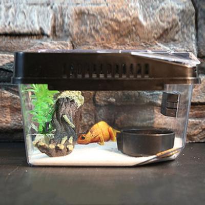 Kaçış Önleyici Sürüngen Teraryum Tankı Plastik Sürüngen Taşıyıcı Konteyner Dayanıklı Kertenkele Yetiştirme Kutusu Salyangoz Gecko Tarantulalar için
